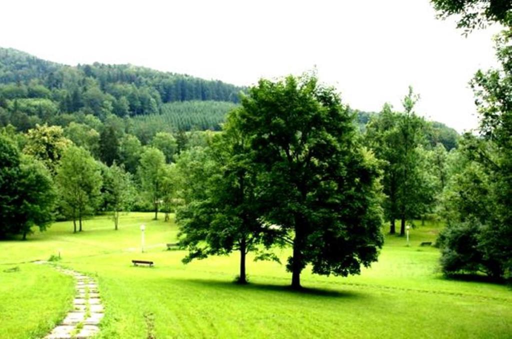 Montebello Bussines&SPA Ustroń Exterior foto